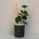 Difusor CERÁMICA VERDE MATE (Nardo-Orquídeas) Difusor CERÁMICA VERDE MATE (Nardo-Orquídeas)
